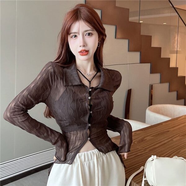 Long Sleeve Chiffon Shirt